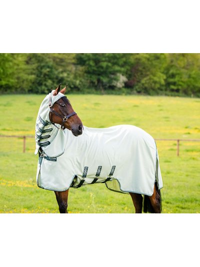 Manta antimoscas con cuello y capucha verde muy claro para caballo de RAMBO HOODY