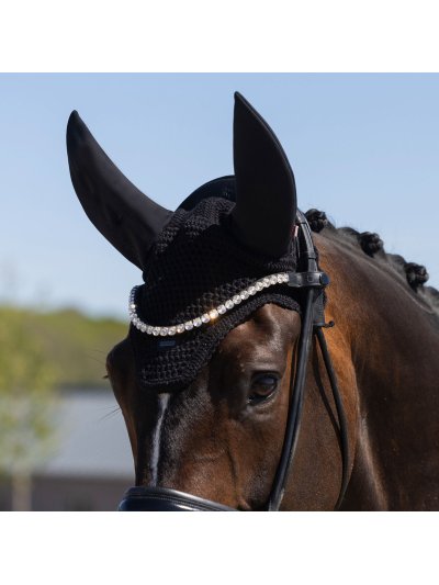 Bonnet noir pour cheval Lexie - Kingsland - imagen 2