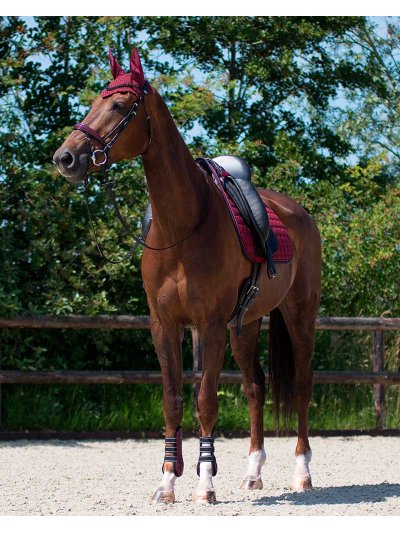 Sudadero de doma burdeos para caballo Florence - QHP - imagen 2