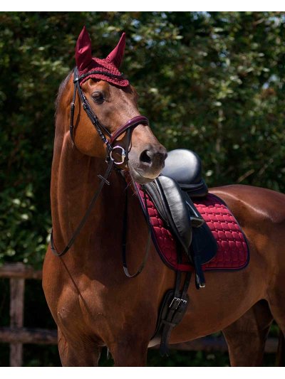 Sudadero de doma burdeos para caballo Florence - QHP - imagen 3