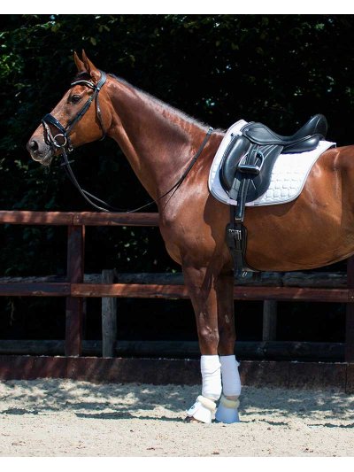 Sudadero de doma blanco para caballo Florence - QHP - imagen 2