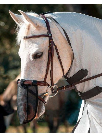 Protección antimoscas para la nariz para caballo y pony - QHP