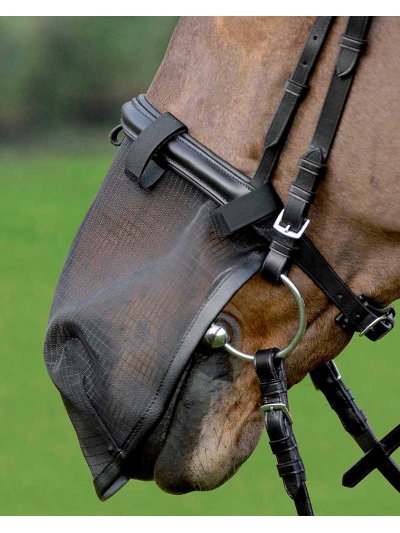 Protección antimoscas para la nariz para caballo - Waldhausen