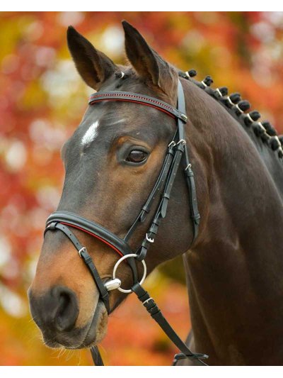 Bride en cuir noir à strass et coussinets rouges (inclut Rênes) pour poney Diamond - STAR
