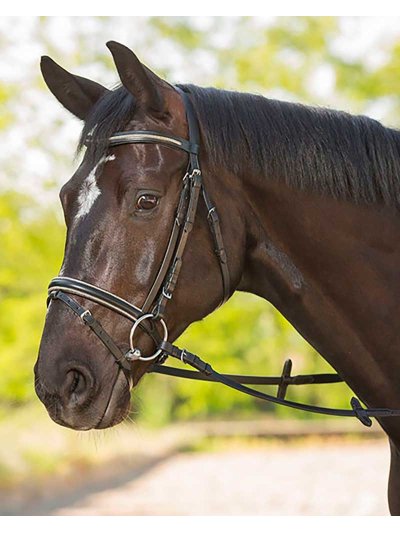 Bride en cuir noir avec frontal et muserolle à paillettes gris et Rênes pour cheval Delicate - STAR