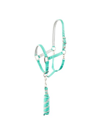 Stable halter with mint green (Teal Green) and grey glitter lead rope for pony - Anky