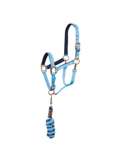 Licol d'écurie avec longe bleu (bonnie blue) et bleu marine pour cheval et poney - Anky