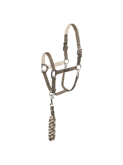 Cabezada de cuadra con ramal gris (Bungee Cord) para caballo - Anky