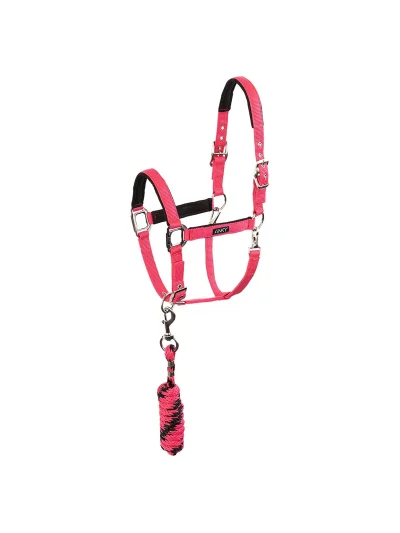 Cabezada de cuadra con ramal fucsia (Innuendo) para caballo - Anky