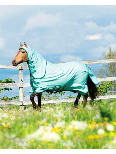 Manta antimoscas con cuello y capucha verde muy claro para caballo - Rambo