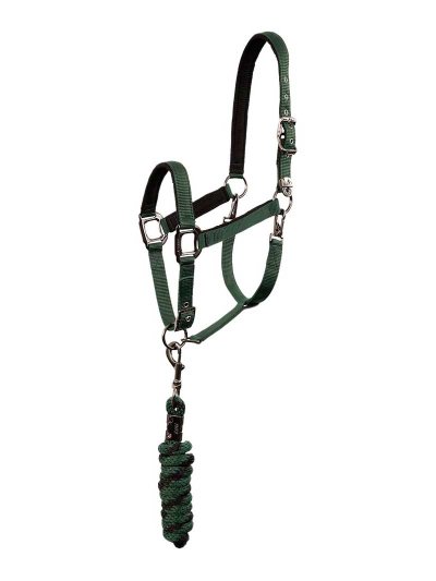 Licol d'écurie avec longe vert foncé et noir (green gables) pour cheval et poney - Anky