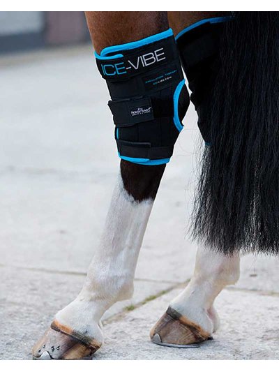 Pack de 2 protectores fríos de descanso de corvejón para caballo - Ice-Vibe - Horseware