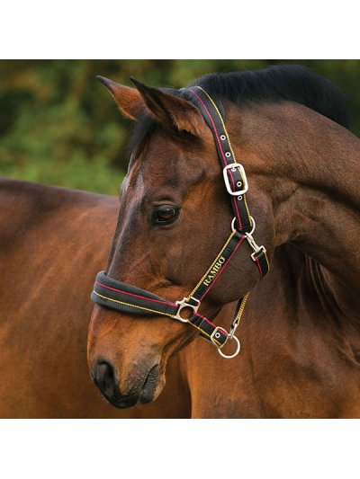 Adjustable black stable halter with red and yellow stripes and fleece noseband for horse and pony - Rambo