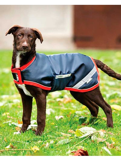 Abrigo para perros azul marino impermeable y reflectante - Rambo