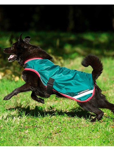 Abrigo para perros verde impermeable y reflectante - Rambo