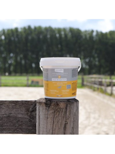 Vitamines pour la recuperación et mejora física du cheval - Laboratorie LPC - imagen 2
