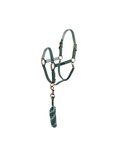 Licol d'écurie avec longe vert (Silver Pine) pour cheval - Anky