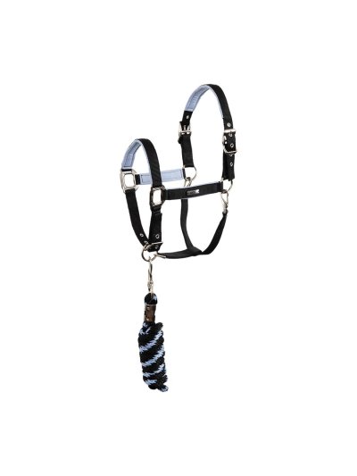 Licol d'écurie avec longe noir et lilas pour cheval - Anky
