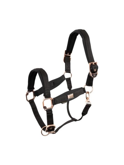 Licol d'écurie noir avec boucles or rose pour cheval et/ou poney Halter - BR