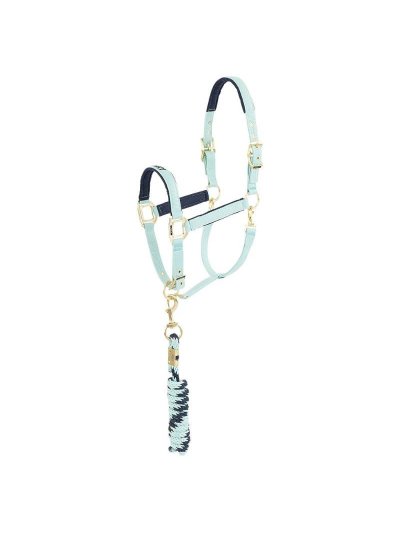 Cabezada de cuadra con ramal verde turquesa y azul marino para caballo y pony - Anky