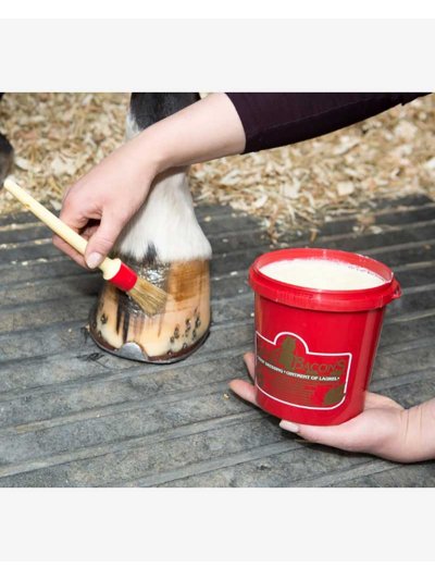 Ungüento de laurel para el cuidado de los cascos del caballo - Kevin Bacon's